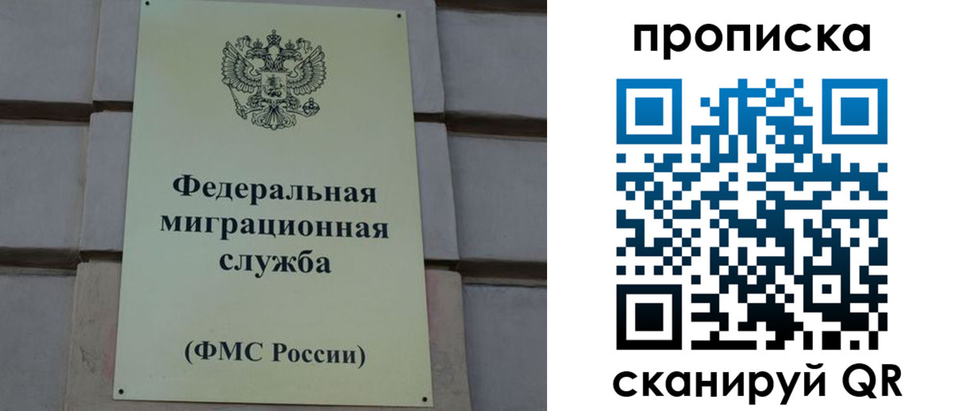 прописка поиск в Сольцах